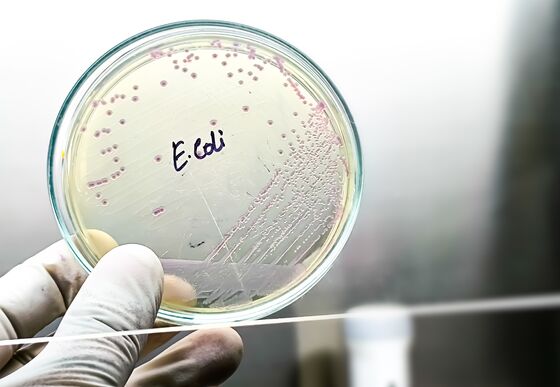 Voorzorgsmaatregelen vanwege E. coli in drinkwater